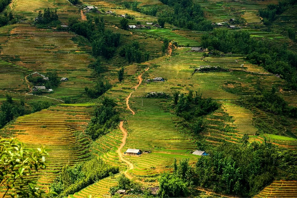7D6N VIETNAM SAPA  HANOI HALONG MOSLEM TOUR - photo 10